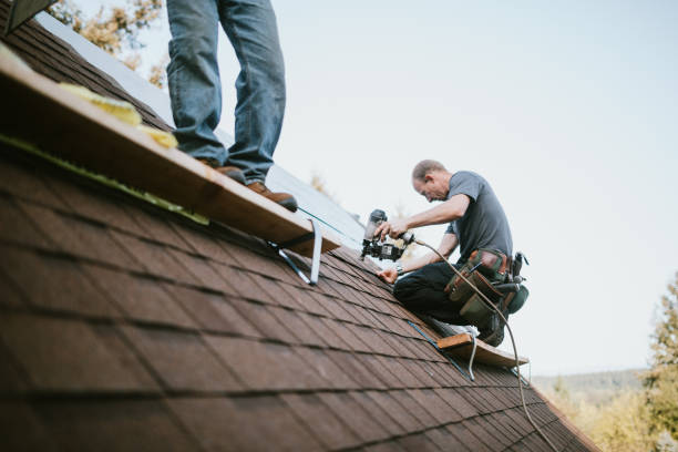 Best Roof Waterproofing Services  in Meraux, LA